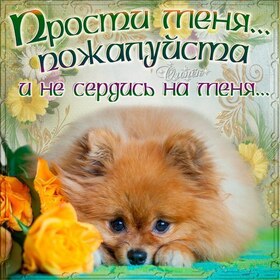 Открытка! Прости меня! Открытка! Искренне прошу у тебя прощения за те неудобства, что...