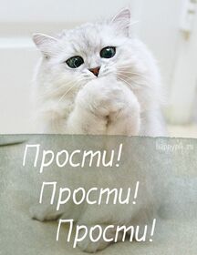 Картинка! Извини! Открытка! Моя любимая! Я виноват перед тобой, и очень прошу меня...