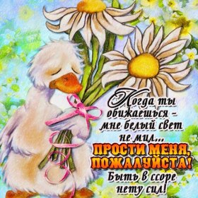 Картинка! От души! Прости меня! Сердечная открытка! Понимаю, что сейчас у тебя нет никакого желания говорить со...