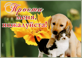 Картинка! Прости меня, пожалуйста! Открытка с извинениями! Очень жаль, что так случилось, мне не хотелось тебя...