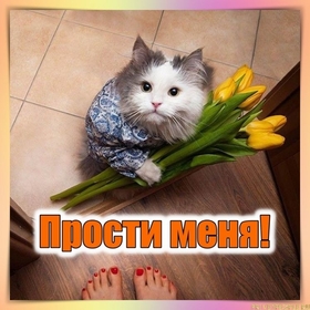 Картинка! От души! Прости меня! Сердечная открытка! Позвольте мне принести свои самые искренние извинения за...