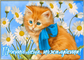 Картинка! Прости меня, пожалуйста! Открытка с извинениями! Что сделано, то сделано. Это произошло. Но как загладить...