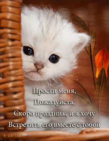 Картинка! Прости меня, пожалуйста! Открытка с извинениями! С Богом в душе прошу прощения за нанесенную обиду...