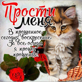 Открытка! Прости меня, пожалуйста! Открытка с извинениями! Пожалуйста, прости меня за доставленные хлопоты! Мне очень...