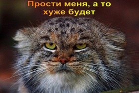 Картинка! Открытка со словами Прости меня! Картинка! Позвольте мне принести свои самые искренние извинения за...