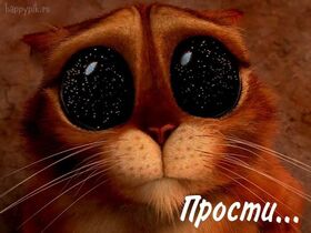 Картинка! Прости меня, пожалуйста! Открытка с извинениями! Нам иногда хочется остановить время или повернуть его...