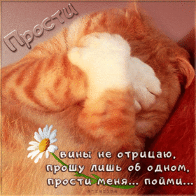 Открытка! Прости меня! Открытка! От всей души прошу прощения, что дал волю своим чувствам и...