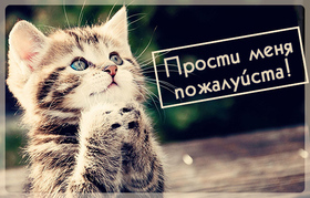 Картинка! Извини! Открытка! Я последнее время не могу ни на чем сосредоточиться, думаю...