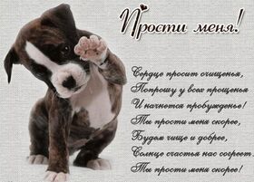 Картинка! Красивая открытка! Картинка! Прости меня! Пожалуйста, выслушай, это важно. Хочу попросить у тебя...