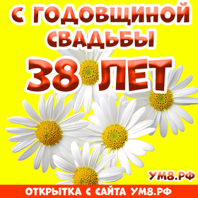 Открытка! С годовщиной свадьбы! Вам 38 лет! Открытка! Нет никакого секрета в счастливой семейной жизни, но...