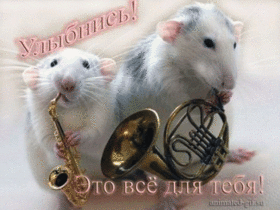 Открытка! Улыбнись! Открытка от души с улыбкой! Когда голопузый Амур натянет свою тетиву и будет целиться...