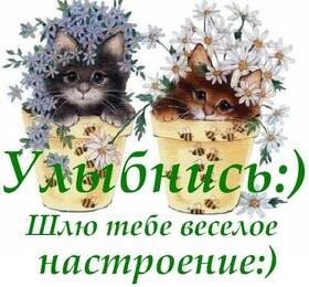 Открытка! Улыбнись! Картинка с улыбкой! Рады за тебя, что наконец-то ты получил долгожданный...