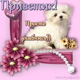 Открытка! Улыбнись! Открытка! Я желаю тебе удачи во всех твоих делах. Пусть фортуна идет...