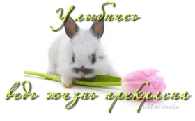 Картинка! Улыбнись! Открытка с улыбкой! В четверг слегка усталость налегла, но пусть силы откроются...