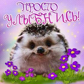 Открытка! Красивая открытка! Картинка! Улыбнись! Я хочу тебе пожелать исполнения всех твоих самых желанных и...