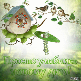 Открытка! Улыбнись! Открытка! Наконец наступила суббота — время, когда можно...