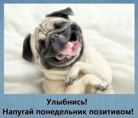 Открытка! Улыбнись! Открытка! Приятный отдых — залог здоровья! А это самое главное...