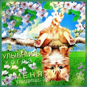 Картинка! Улыбнись! Открытка от души с улыбкой! Пусть прекрасная любовь окрыляет твоё сердце и не даст ему...