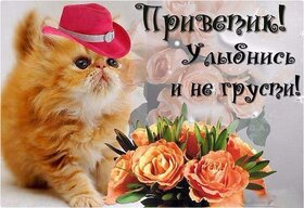 Картинка! Красивая открытка! Картинка! Улыбнись! Пусть Господь хранит Вас от всяких невзгод. Пусть никакие...