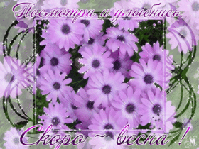 Открытка! Улыбнись! Открытка от души с улыбкой! Поесть присели? А руки вы помыли? Если ответ...