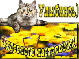 Картинка! Красивая открытка! Картинка! Улыбнись! Пусть выздоровление приходит как можно раньше, не оставляя...