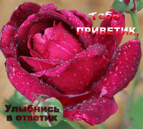 Открытка! Улыбнись! Картинка с улыбкой! Скорее выздоравливай и возвращайся к привычному активному...