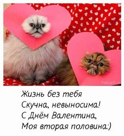 Открытка! С днём святого Валентина! Картинка девушке! Я никогда не думала, что можно знать кого-то так хорошо и в...