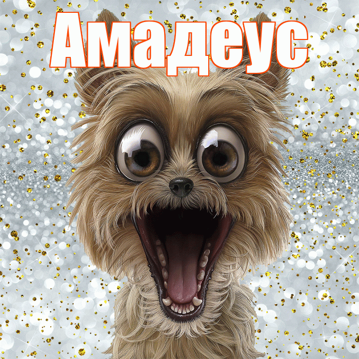 Амадеус! Привет! Красивая открытка Амадеусу!