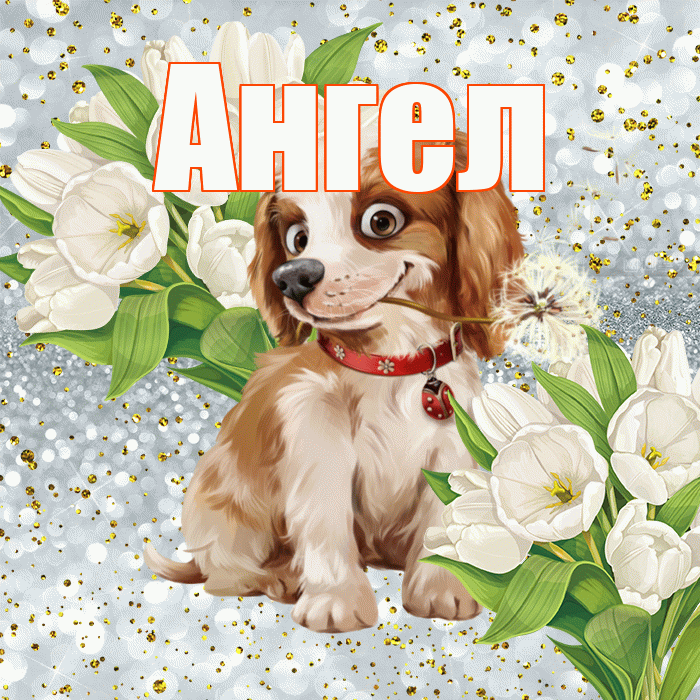 Ангел! Привет! Красивая открытка Ангелу!