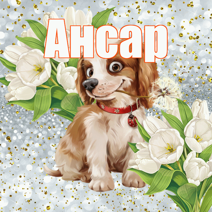Ансар! Привет! Красивая открытка Ансару!