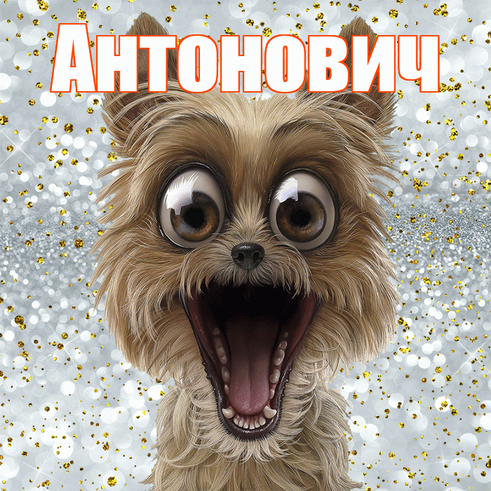 Антонович! Привет! Красивая открытка Антоновичу!