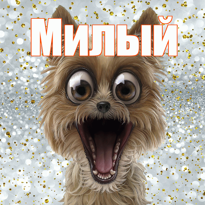 Милый! Привет! Красивая открытка Милому!
