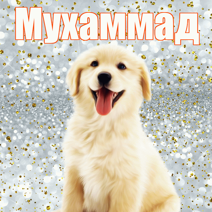 Мухаммад! Привет! Красивая открытка Мухаммаду!