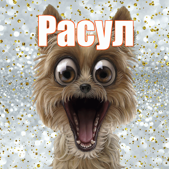 Расул! Привет! Красивая открытка Расулу!