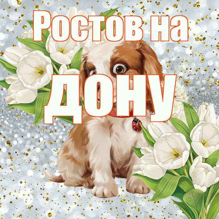 Ростов на дону! Привет! Красивая открытка !