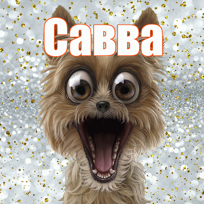Савва! Привет! Красивая открытка Савве!