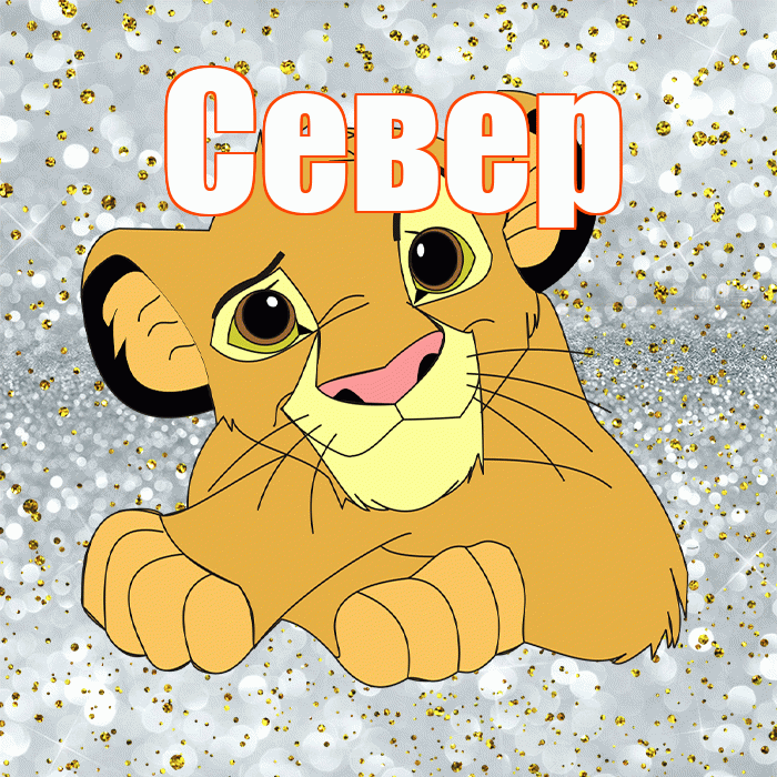 Север! Привет! Красивая открытка Северу!