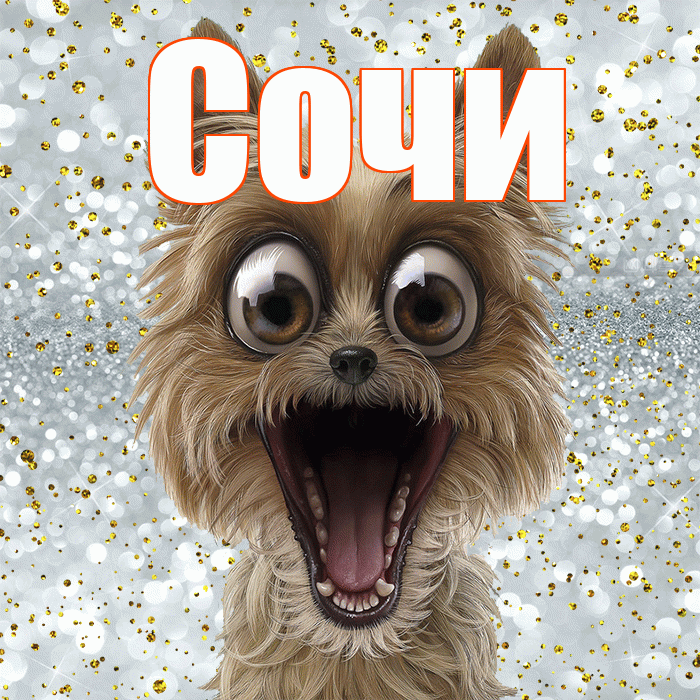 Сочи! Привет! Красивая открытка Сочи!