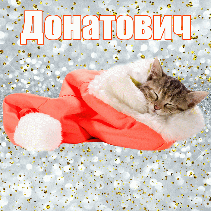 Донатович! Приятных тебе снов! Красивая открытка Донатовичу!