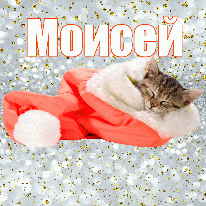 Моисей! Приятных тебе снов! Красивая открытка Моисею!