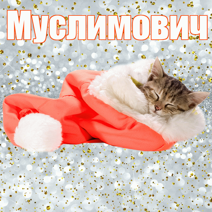 Муслимович! Приятных тебе снов! Красивая открытка Муслимовичу!