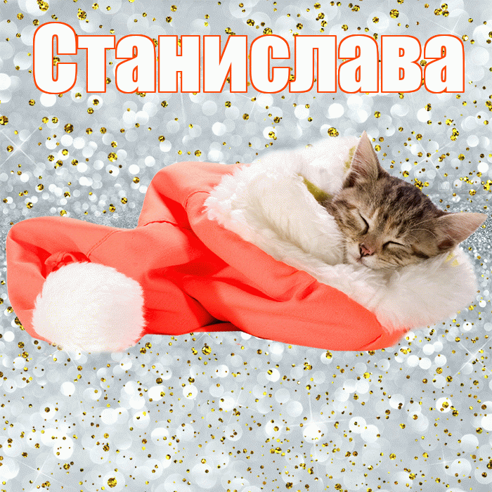 Станислава! Приятных тебе снов! Красивая открытка Станиславовне!