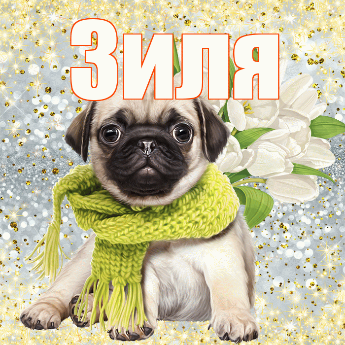 Зиля! С 8 марта! Красивая открытка Зиле!