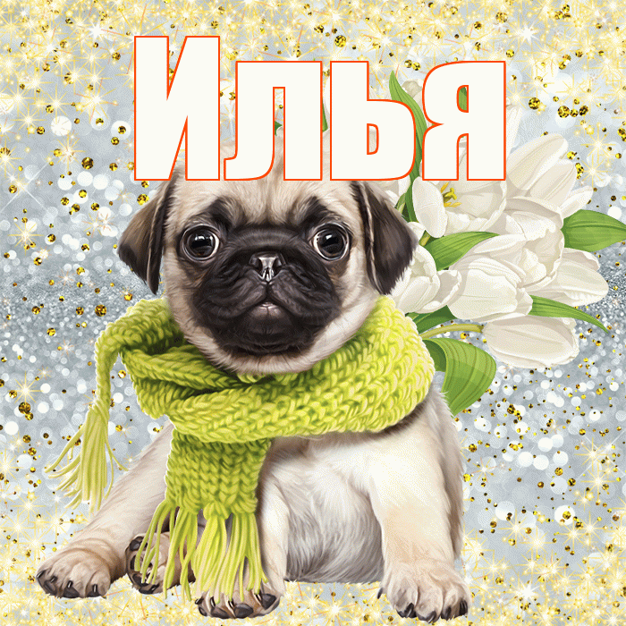 Илья! С 8 марта! Красивая открытка Илье!