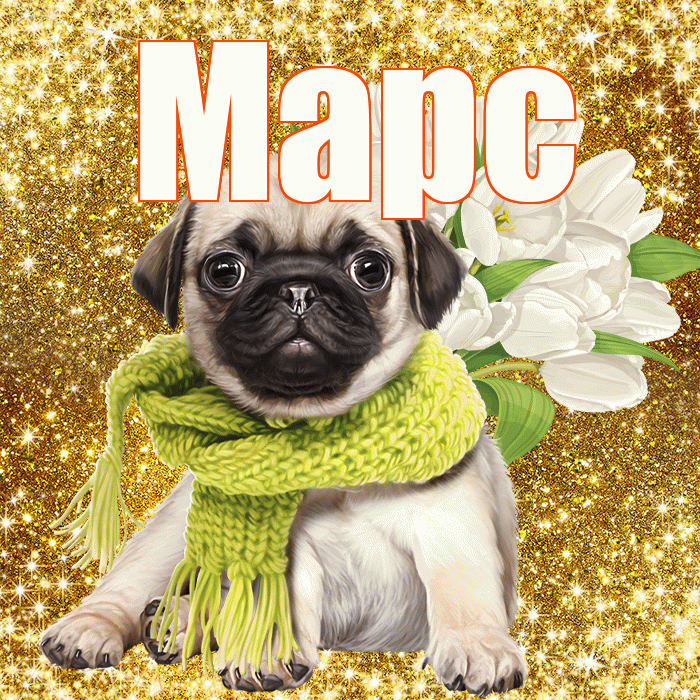 Марс! С 8 марта! Красивая открытка Марсу!