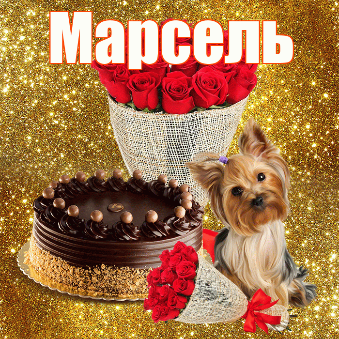 Марсель! С 8 марта! Красивая открытка Марселю!