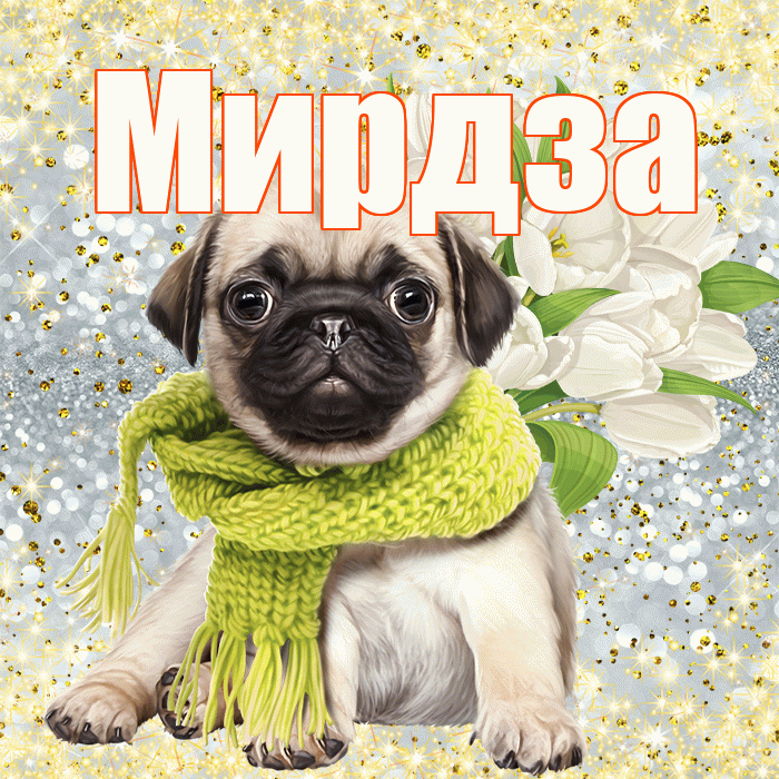 Мирдза! С 8 марта! Красивая открытка Мирдзой!