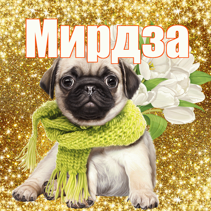 Мирдза! С 8 марта! Красивая открытка Мирдзой!