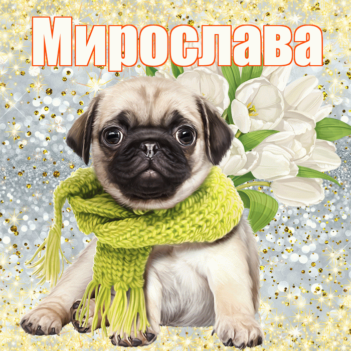 Мирослава! С 8 марта! Красивая открытка Мирославовне!