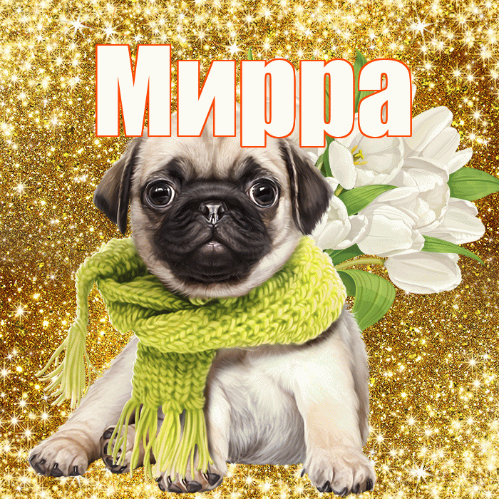 Мирра! С 8 марта! Красивая открытка Мирре!